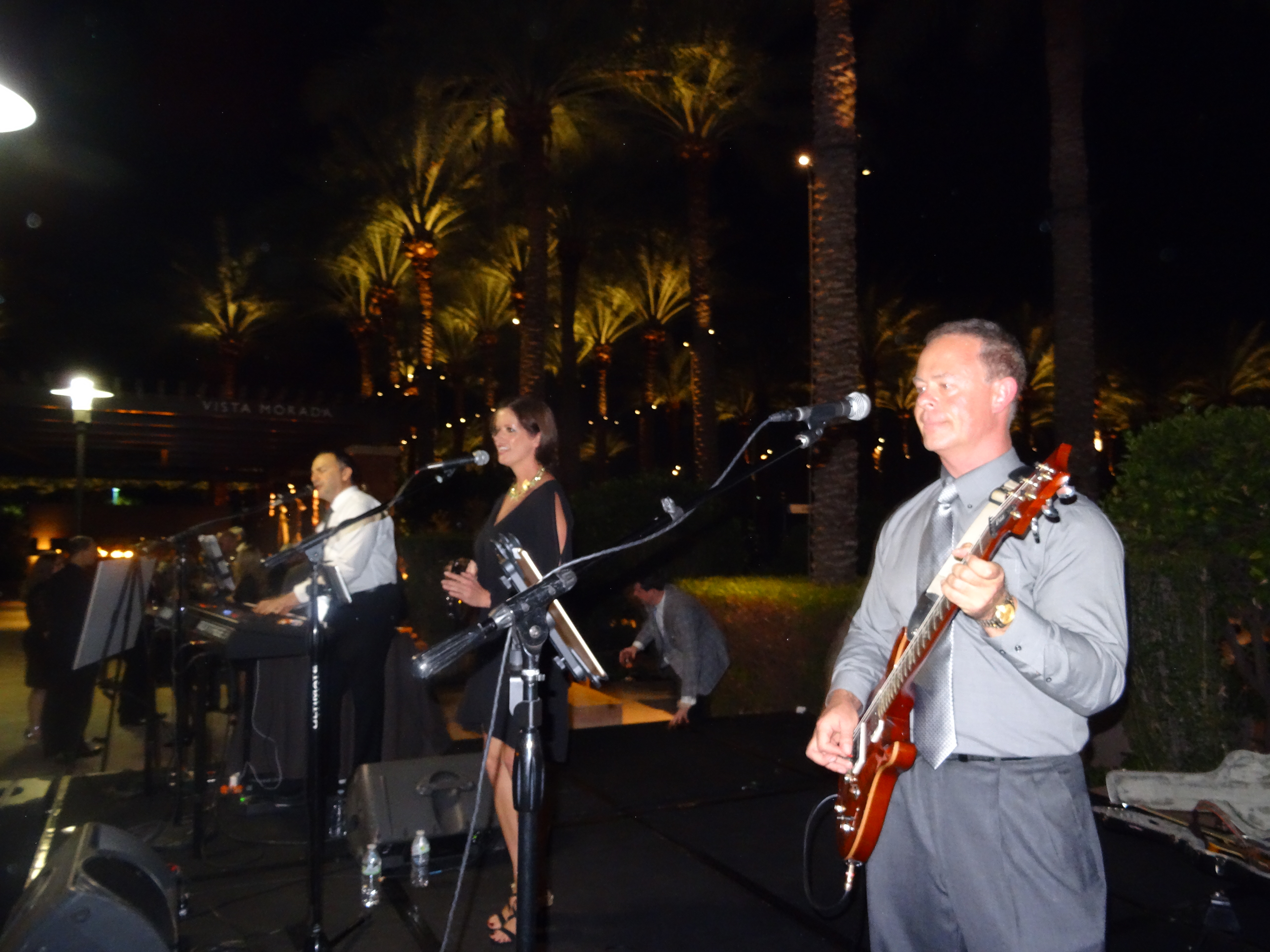 Exit Row Band, Holly Marie, and Sarah McLachlan entertainment for Pulse of the City Soiree