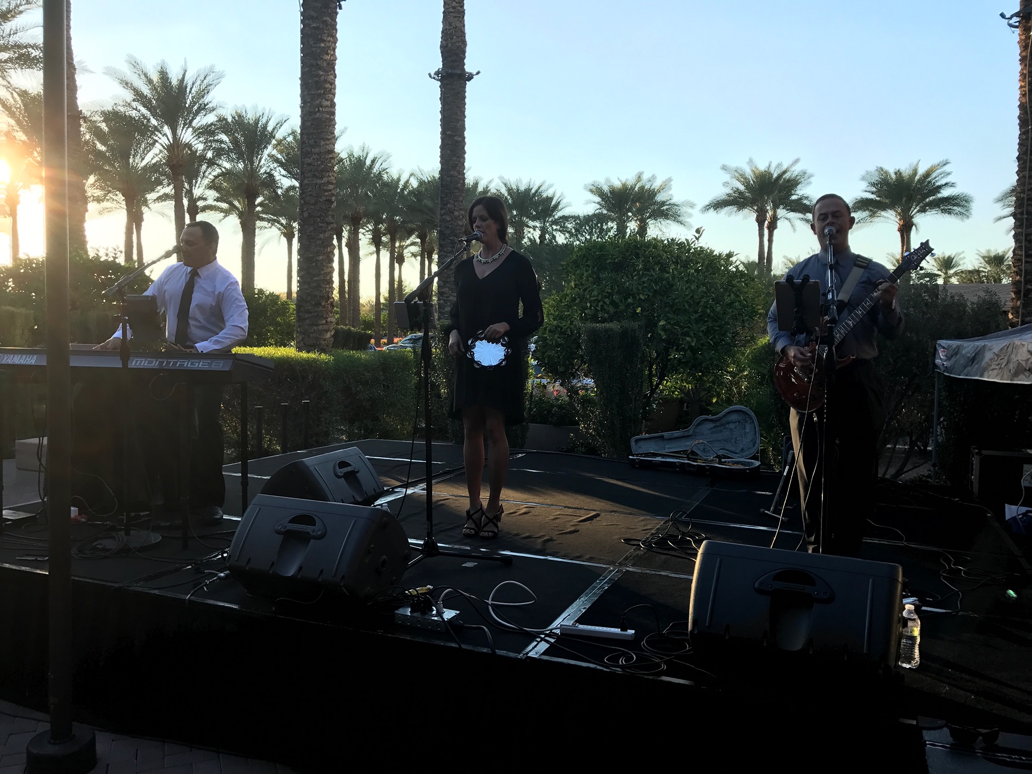 Exit Row Band, Holly Marie, and Sarah McLachlan entertainment for Pulse of the City Soiree